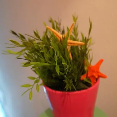 Hostel Fisherman's House