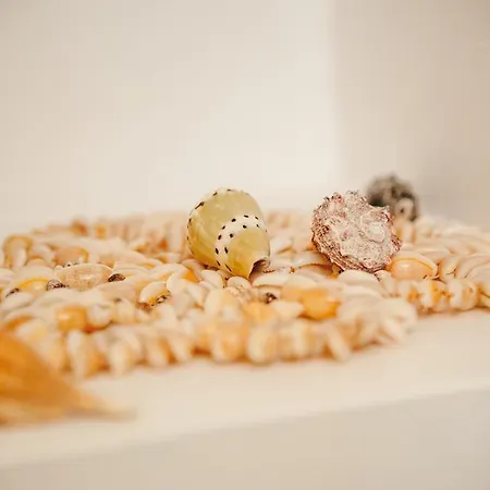 Fisherman's House Vandrarhem *