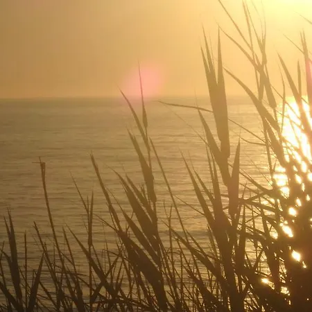 Fisherman's House Vandrarhem *