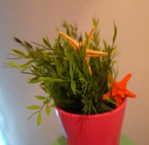 אכסניה Fisherman's House